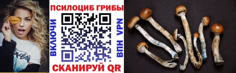 Галлюциногенные грибы Cubensis  Новоузенск 